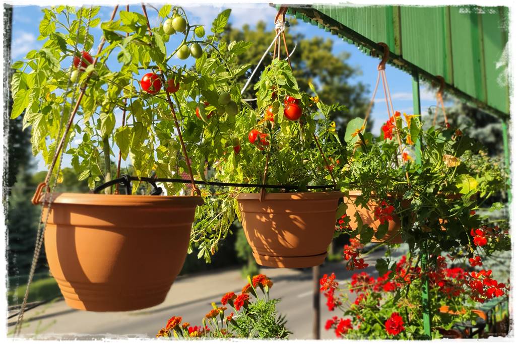 Jak zaplanować system nawadniania ogrodu 22 Jak zaplanować system nawadniania ogrodu 22