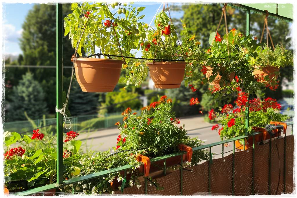 Jak zaplanować system nawadniania ogrodu 28 Jak zaplanować system nawadniania ogrodu 28