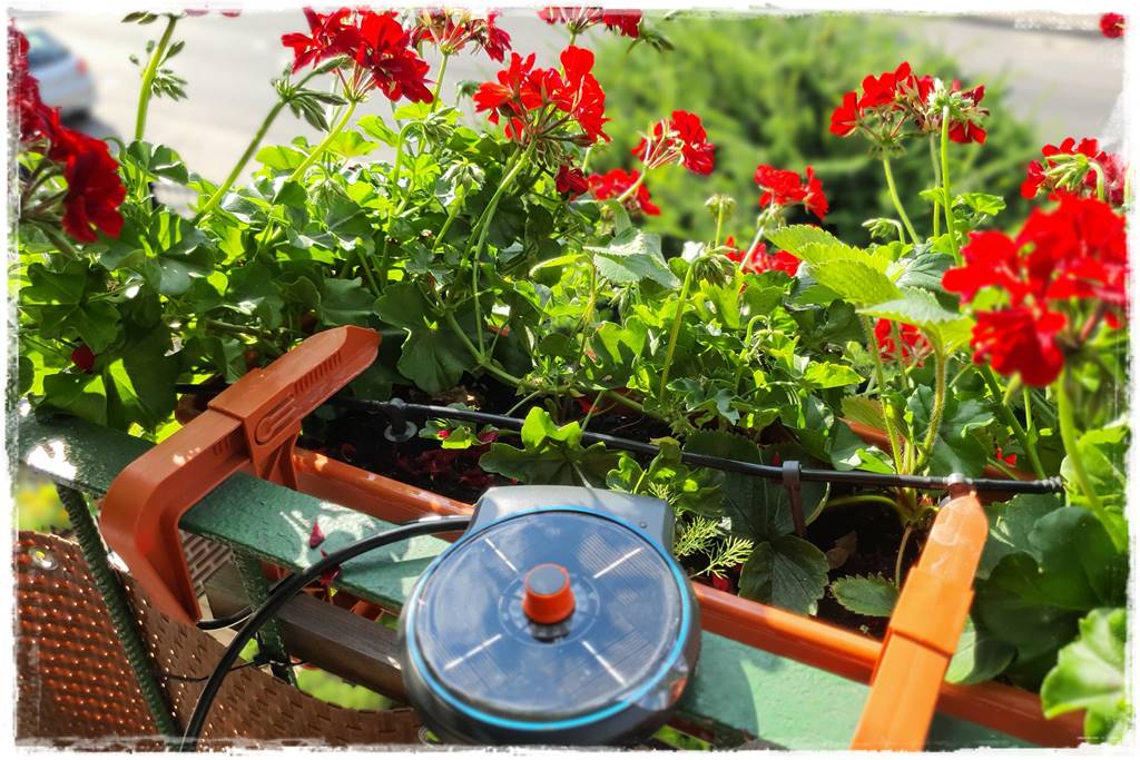 Jak zaplanować system nawadniania ogrodu 29 Jak zaplanować system nawadniania ogrodu 29