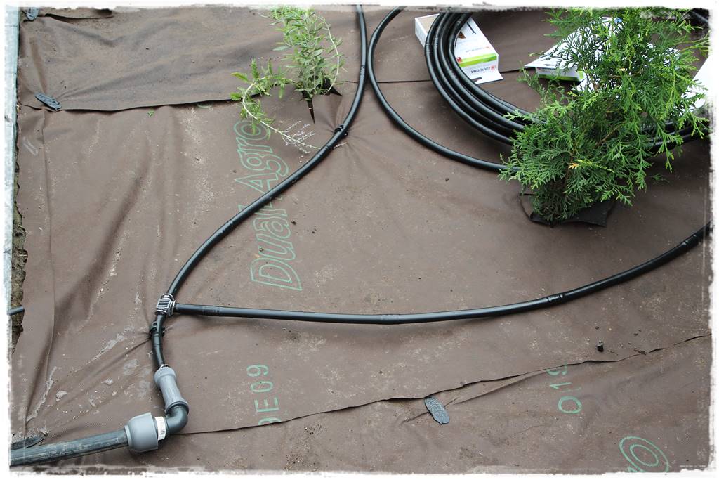 Jak zaplanować system nawadniania ogrodu 35 Jak zaplanować system nawadniania ogrodu 35