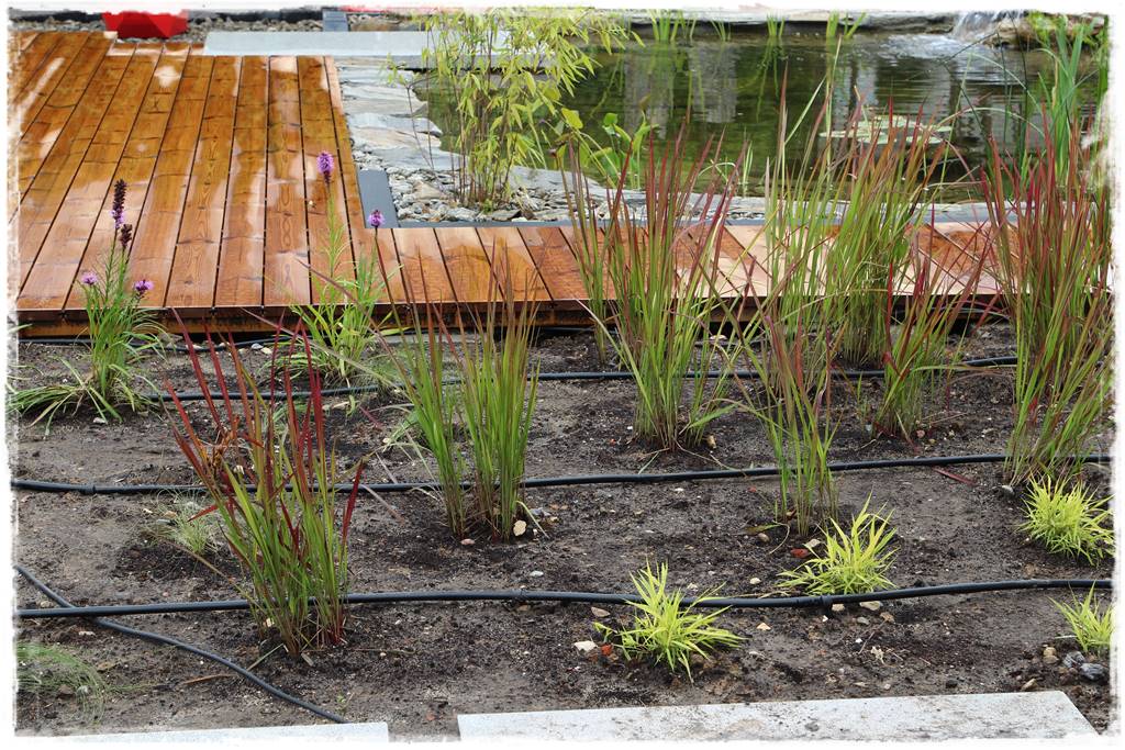 Jak zaplanować system nawadniania ogrodu 5 Jak zaplanować system nawadniania ogrodu 5