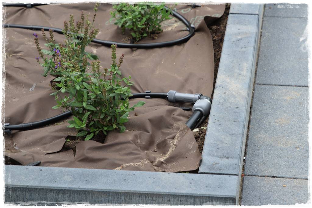 Jak zaplanować system nawadniania ogrodu 9 Jak zaplanować system nawadniania ogrodu 9