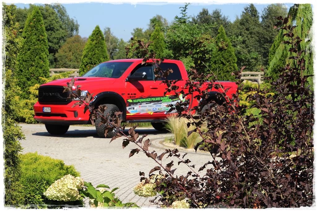 Ogród 2 stylów 15 Ogród 2 stylów 15