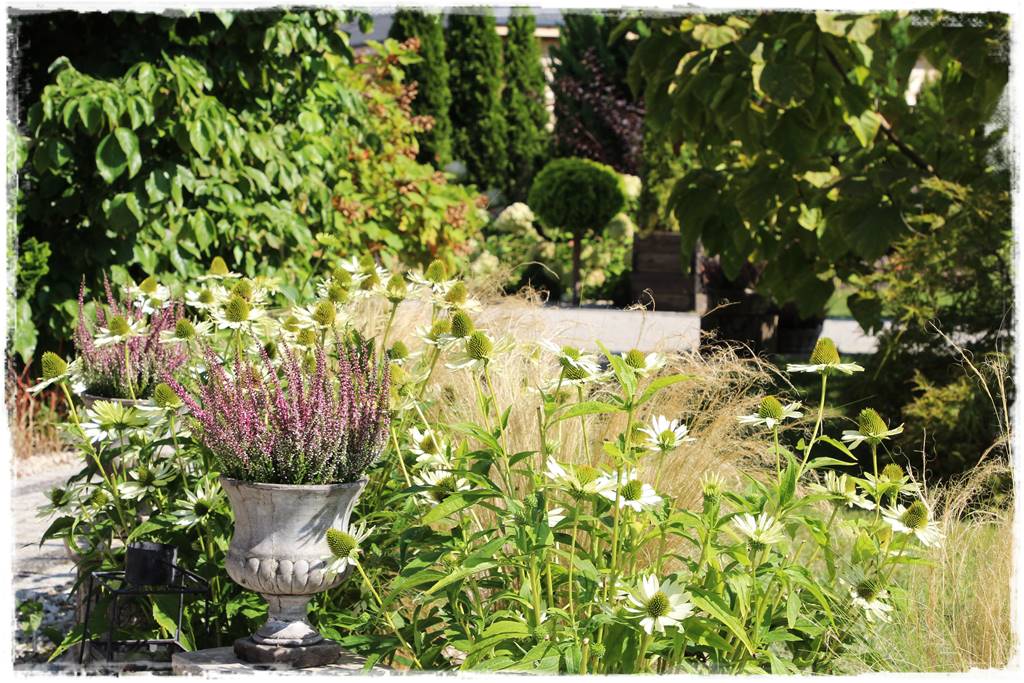 Ogród 2 stylów 24 Ogród 2 stylów 24