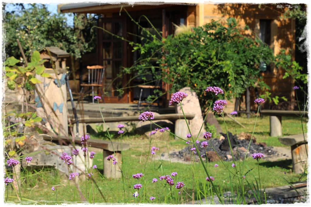 Ogród 2 stylów 31 Ogród 2 stylów 31