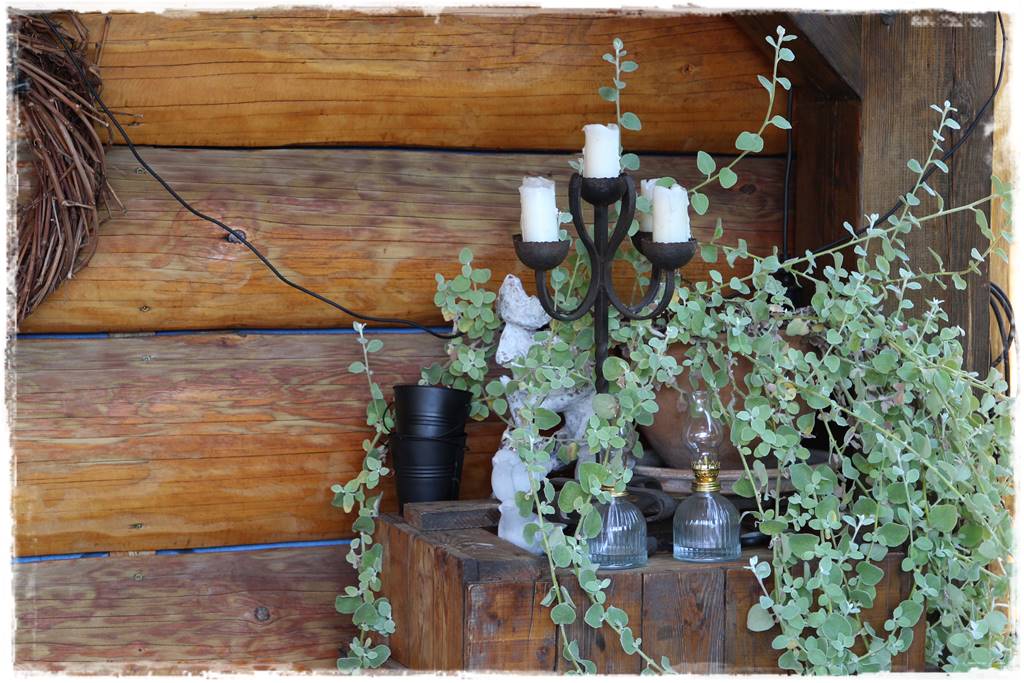 Ogród 2 stylów 60 Ogród 2 stylów 60