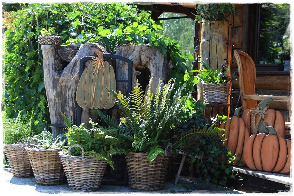 Ogród 2 stylów 65 Ogród 2 stylów 65