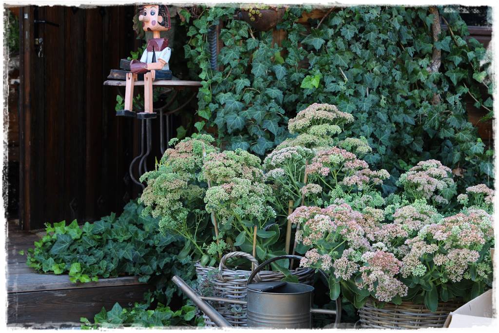 Ogród 2 stylów 68 Ogród 2 stylów 68