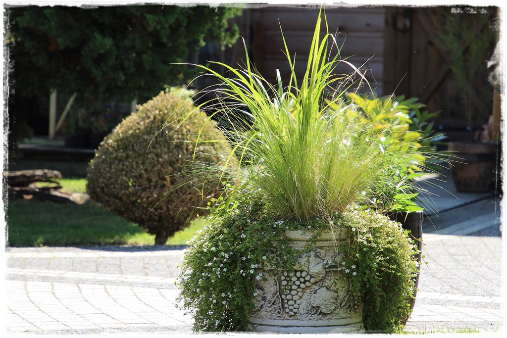 Ogród 2 stylów 70 Ogród 2 stylów 70