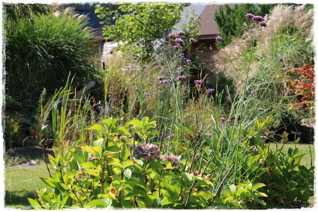 Ogród 2 stylów 80 Ogród 2 stylów 80