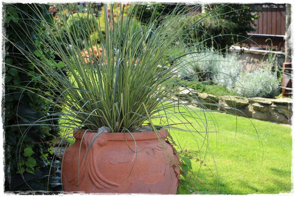 Ogród polsko włoski 13 Ogród polsko włoski 13