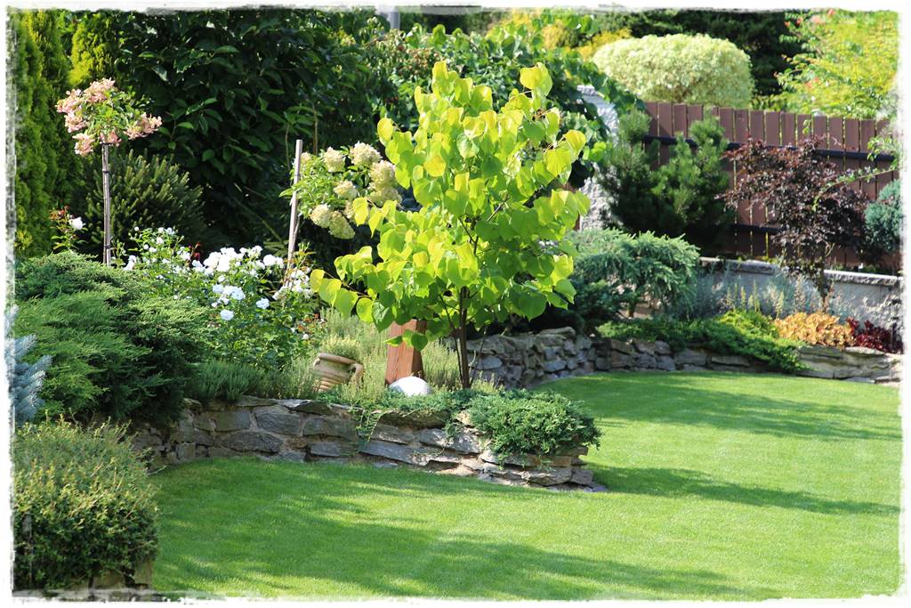 Ogród polsko włoski 18 Ogród polsko włoski 18