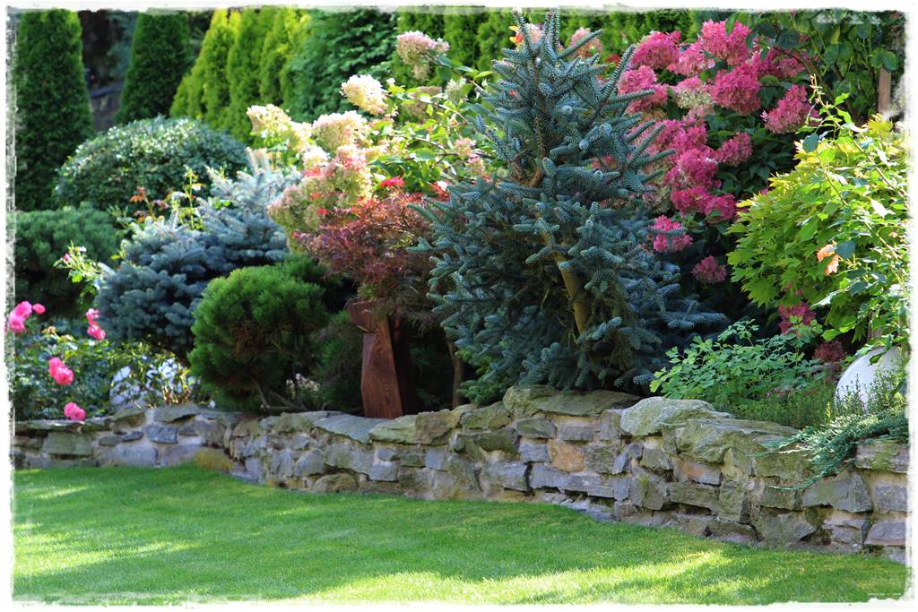 Ogród polsko włoski 19 Ogród polsko włoski 19