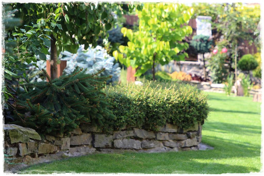 Ogród polsko włoski 31 Ogród polsko włoski 31