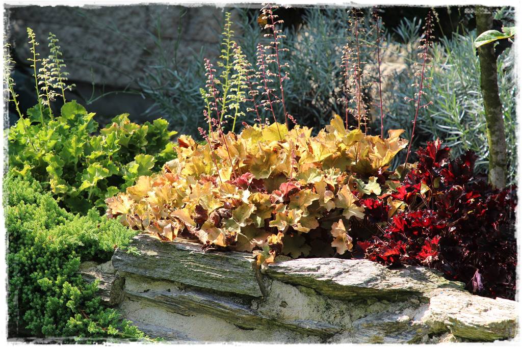 Ogród polsko włoski 35 Ogród polsko włoski 35