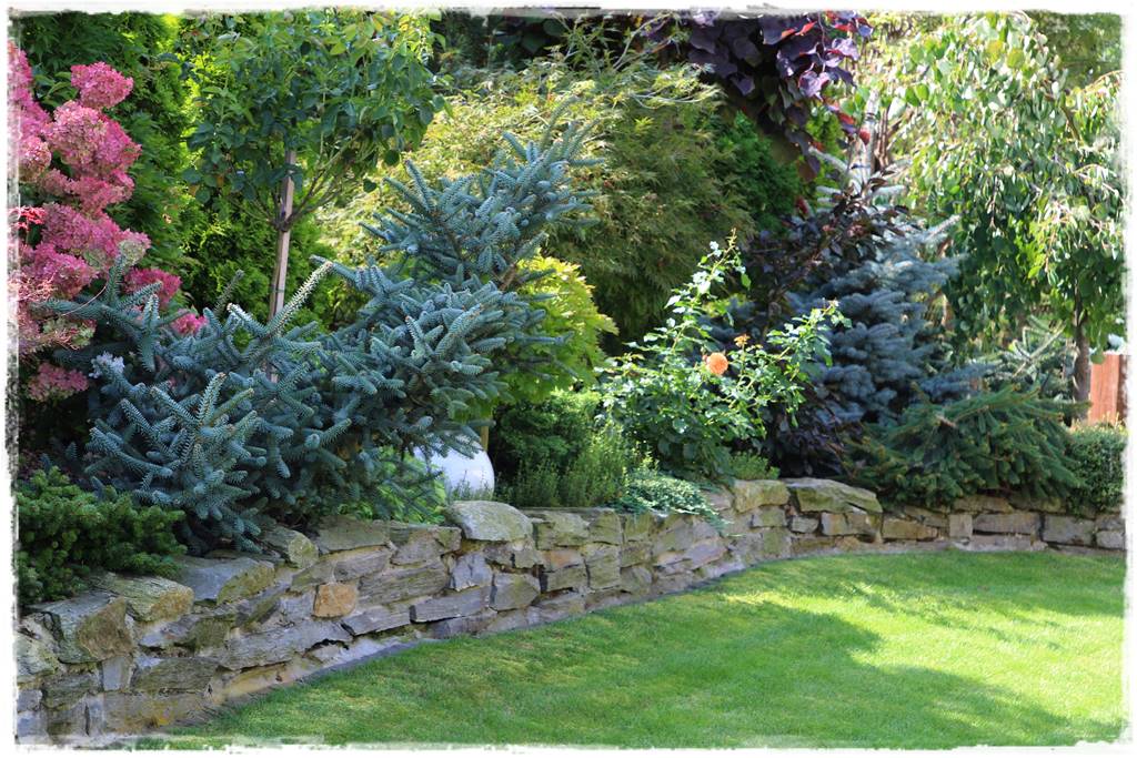 Ogród polsko włoski 36 Ogród polsko włoski 36