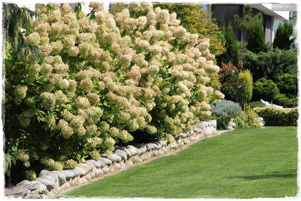 Ogród polsko włoski 44 Ogród polsko włoski 44