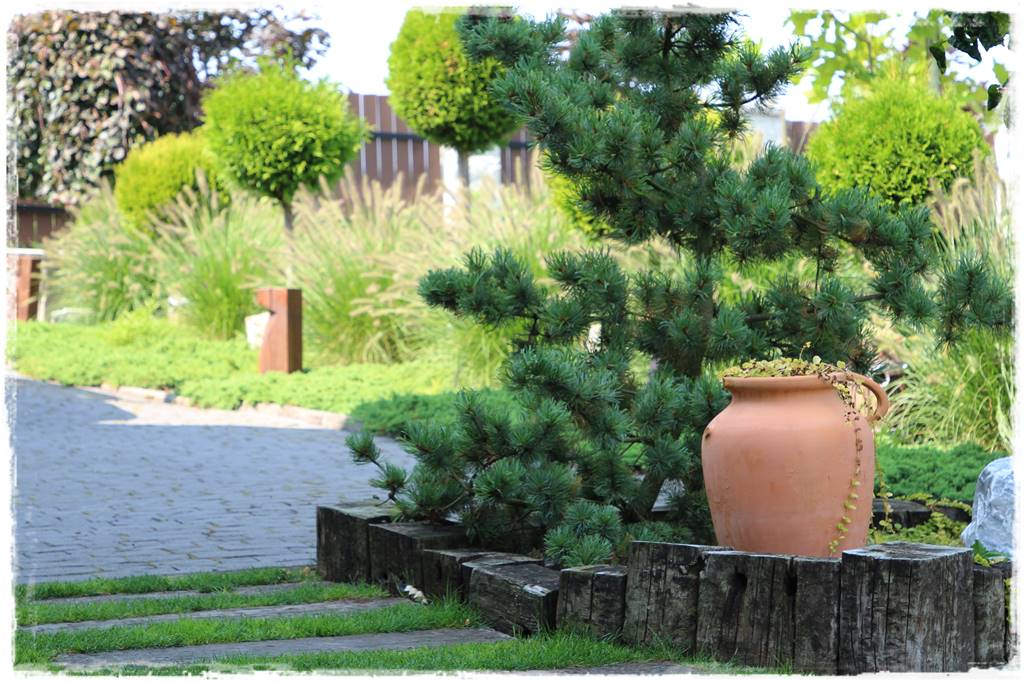 Ogród polsko włoski 46 Ogród polsko włoski 46