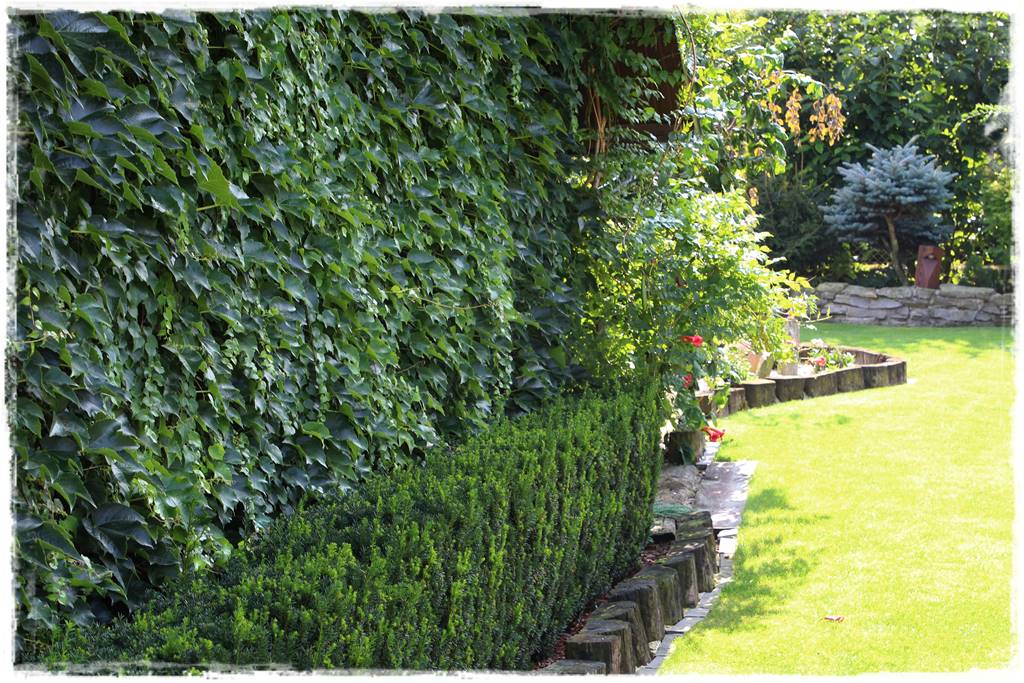 Ogród polsko włoski 47 Ogród polsko włoski 47