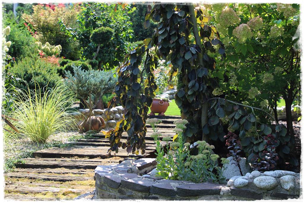 Ogród polsko włoski 50 Ogród polsko włoski 50