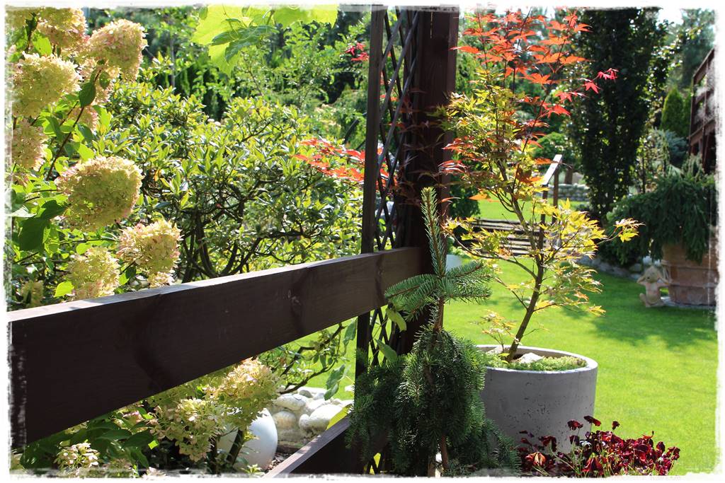 Ogród polsko włoski 66 Ogród polsko włoski 66