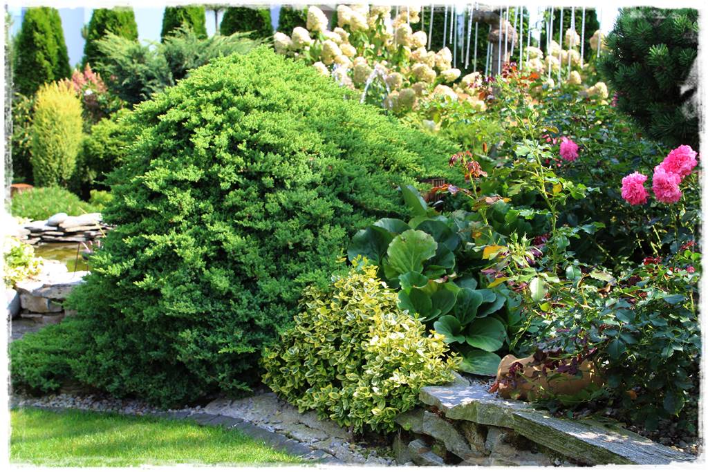 Ogród polsko włoski 69 Ogród polsko włoski 69