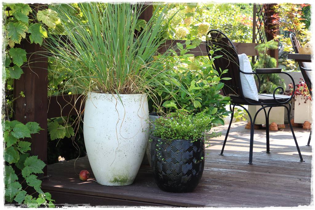 Ogród polsko włoski 69a Ogród polsko włoski 69a