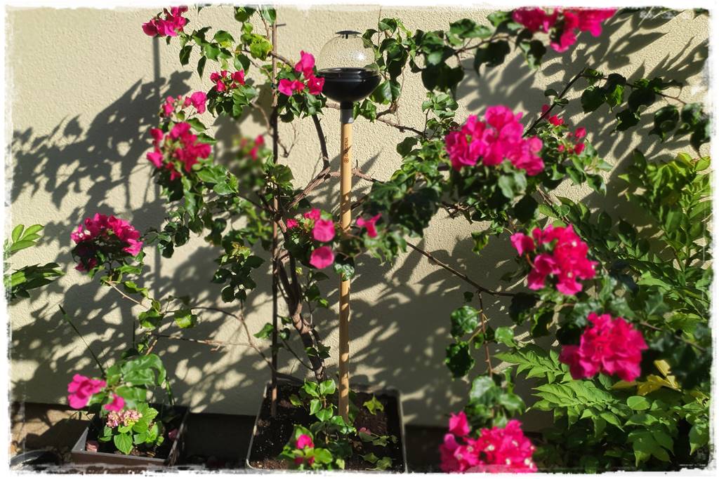 dekoracje na taras 28 dekoracje na taras 28