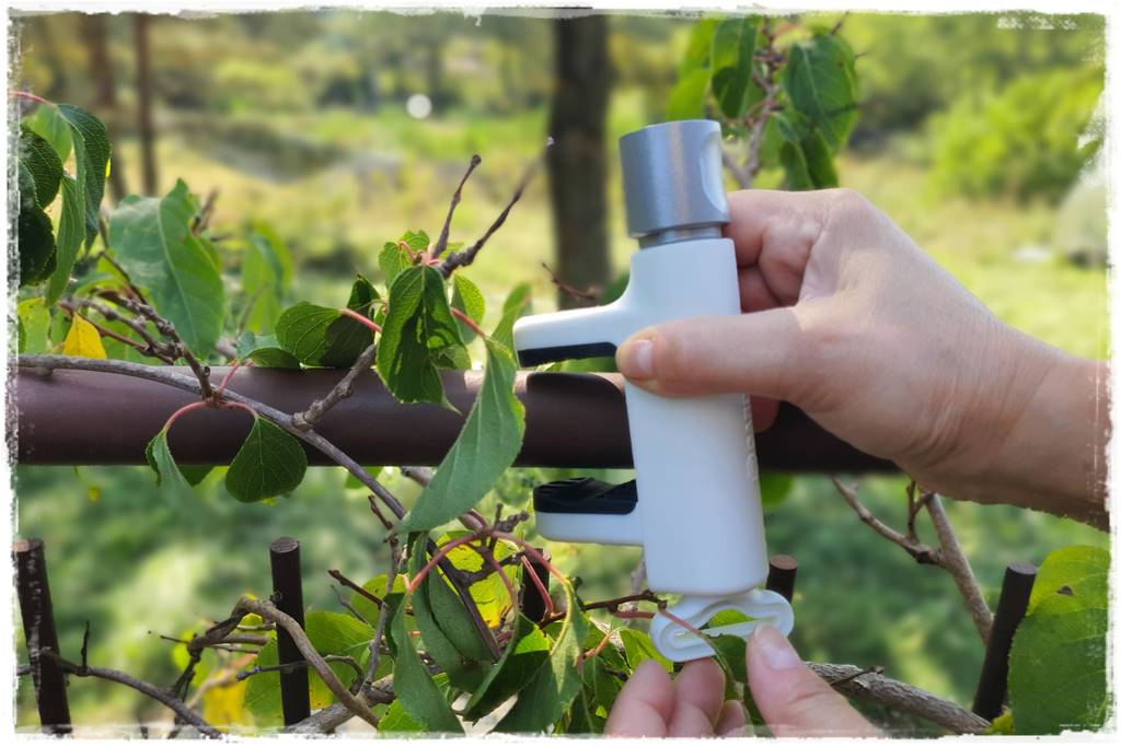 dekoracje na taras 8 dekoracje na taras 8