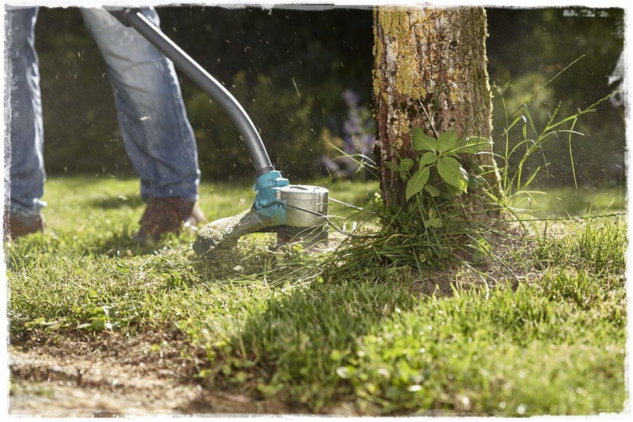 krawędzie trawnika 13 krawędzie trawnika 13