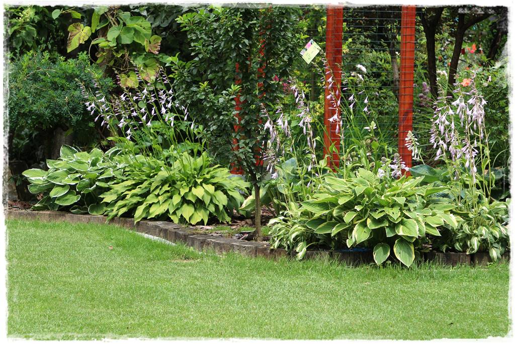 krawędzie trawnika 2 krawędzie trawnika 2