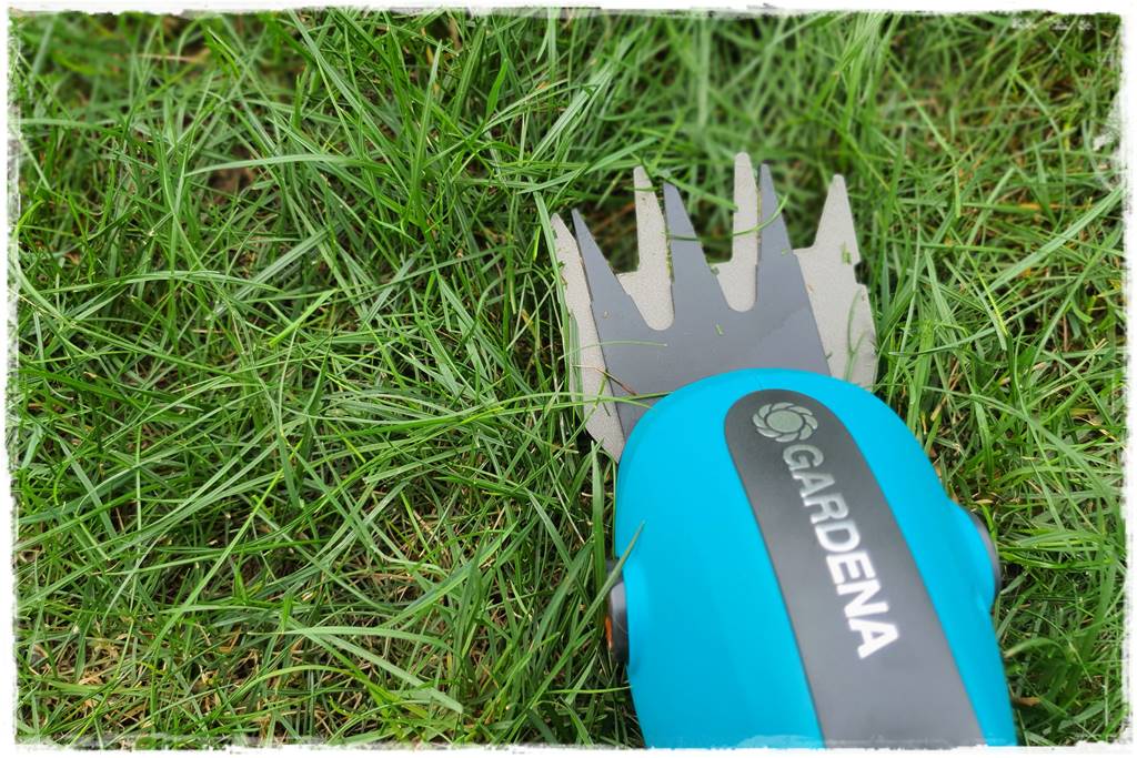 krawędzie trawnika 32 krawędzie trawnika 32