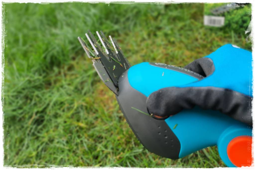 krawędzie trawnika 37 krawędzie trawnika 37