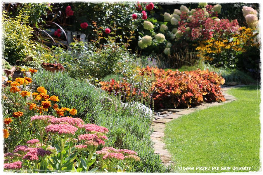 krawędzie trawnika 5 krawędzie trawnika 5