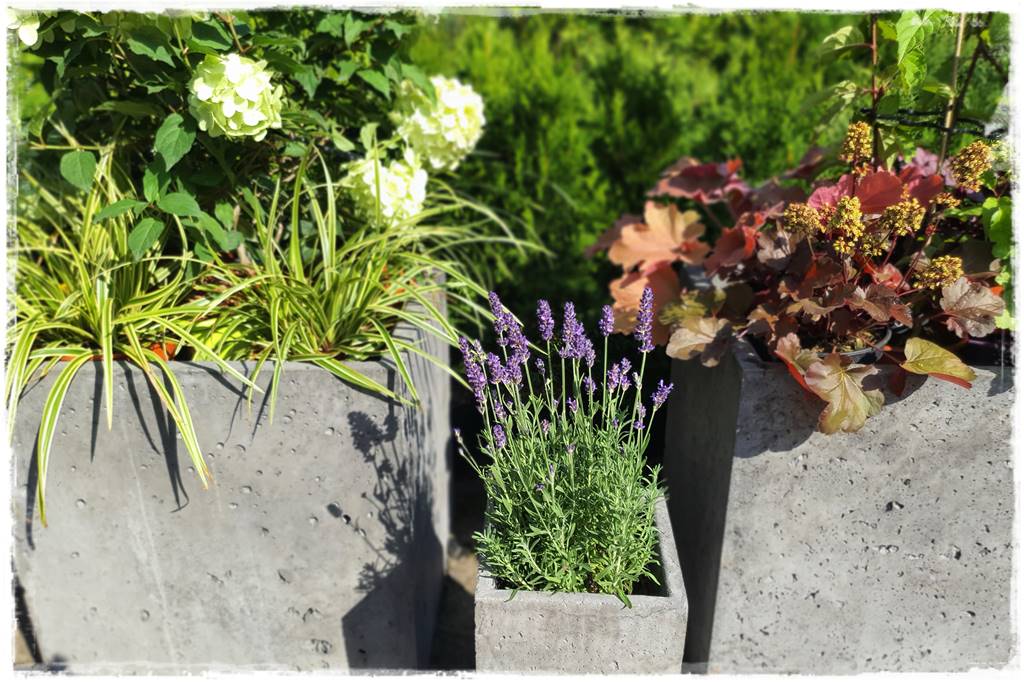 nowoczesne donice betonowe 15 nowoczesne donice betonowe 15