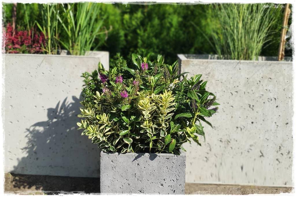 nowoczesne donice betonowe 20 nowoczesne donice betonowe 20