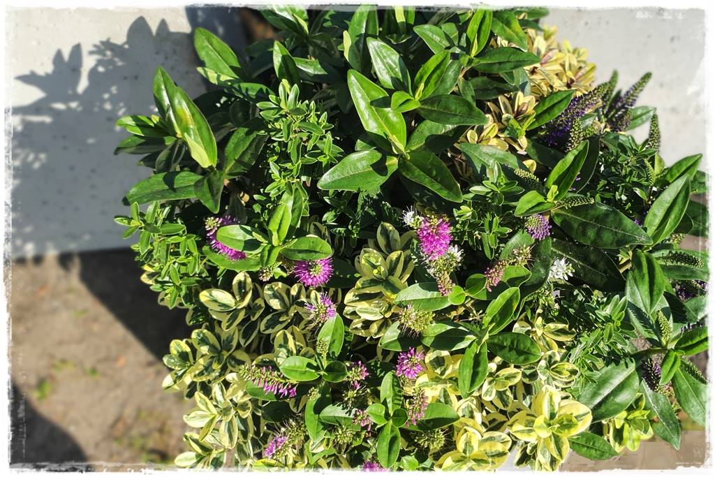 nowoczesne donice betonowe 21 nowoczesne donice betonowe 21