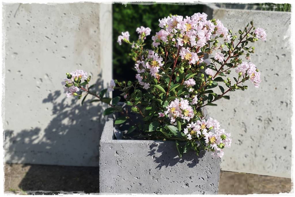 nowoczesne donice betonowe 22 nowoczesne donice betonowe 22