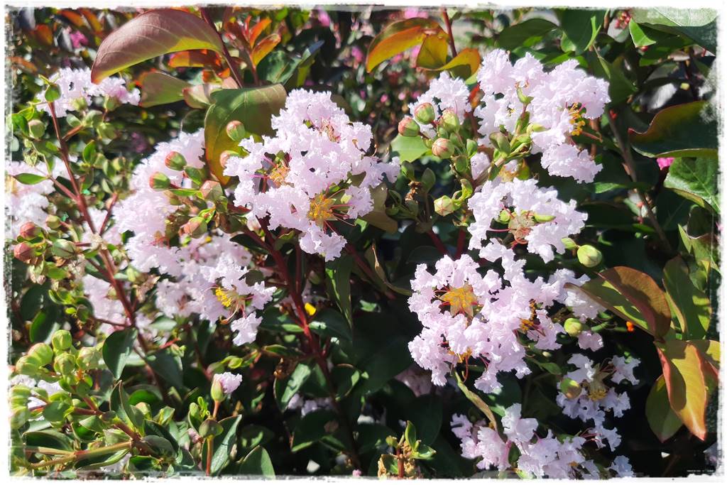 nowoczesne donice betonowe 23 nowoczesne donice betonowe 23