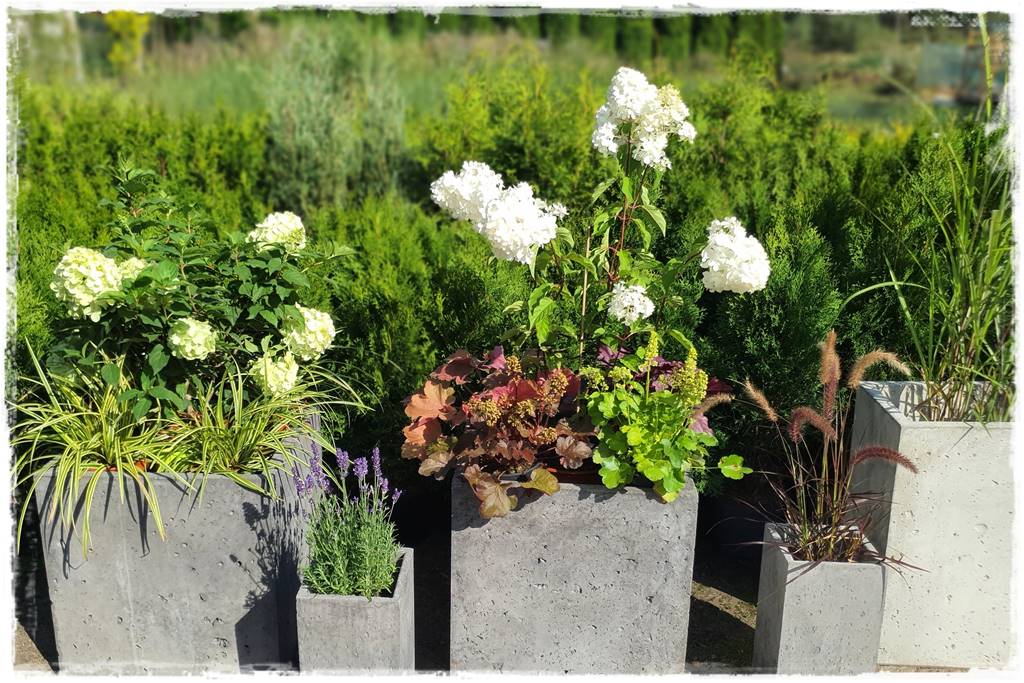 nowoczesne donice betonowe 26 nowoczesne donice betonowe 26