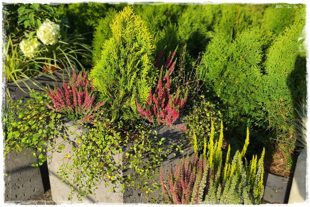 nowoczesne donice betonowe 30 nowoczesne donice betonowe 30