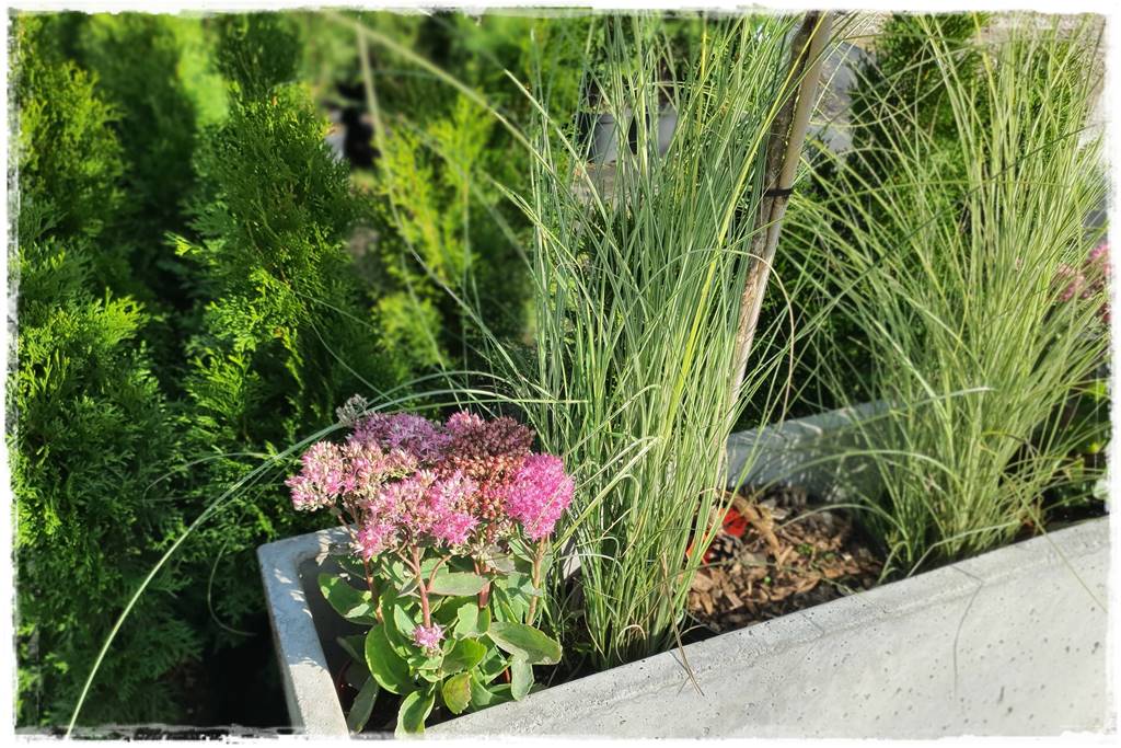 nowoczesne donice betonowe 32 nowoczesne donice betonowe 32