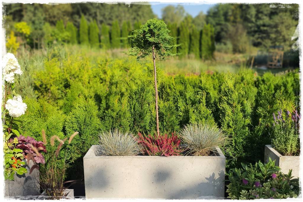 nowoczesne donice betonowe 36 nowoczesne donice betonowe 36