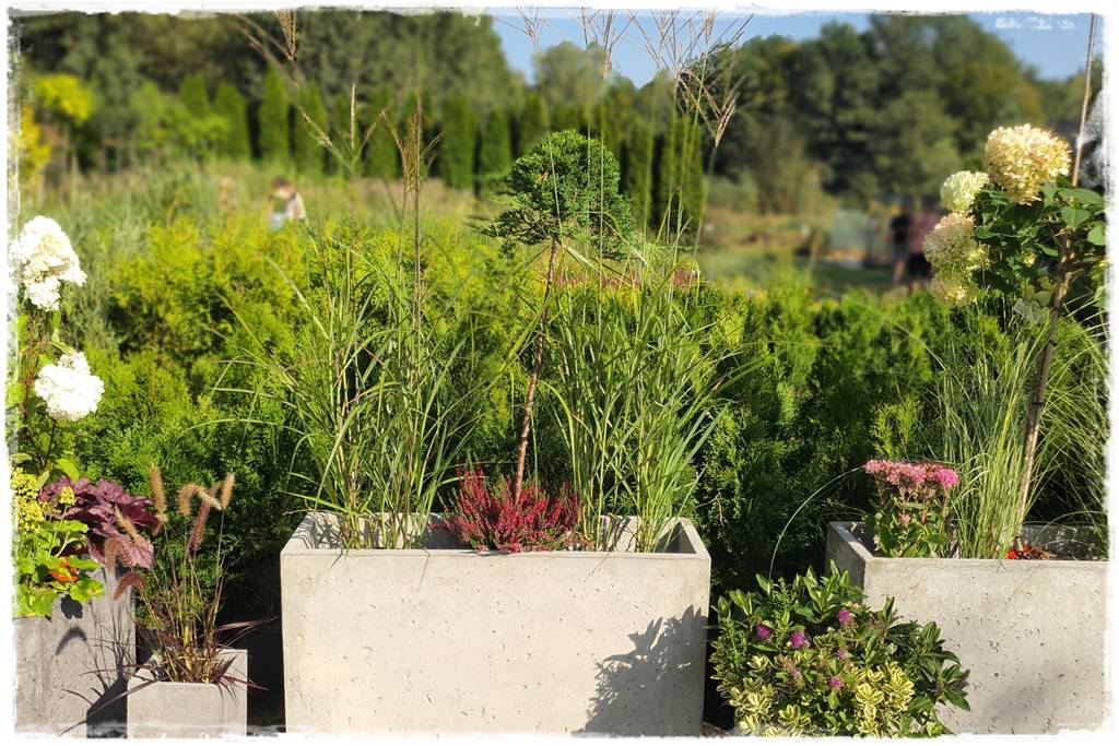 nowoczesne donice betonowe 38 nowoczesne donice betonowe 38