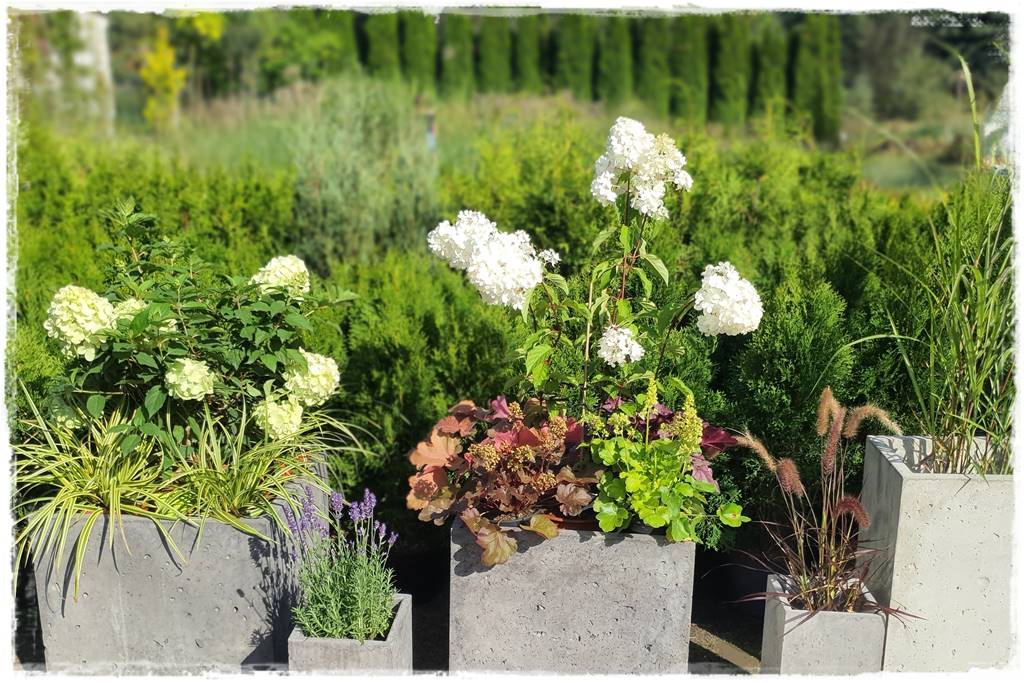 nowoczesne donice betonowe 39 nowoczesne donice betonowe 39