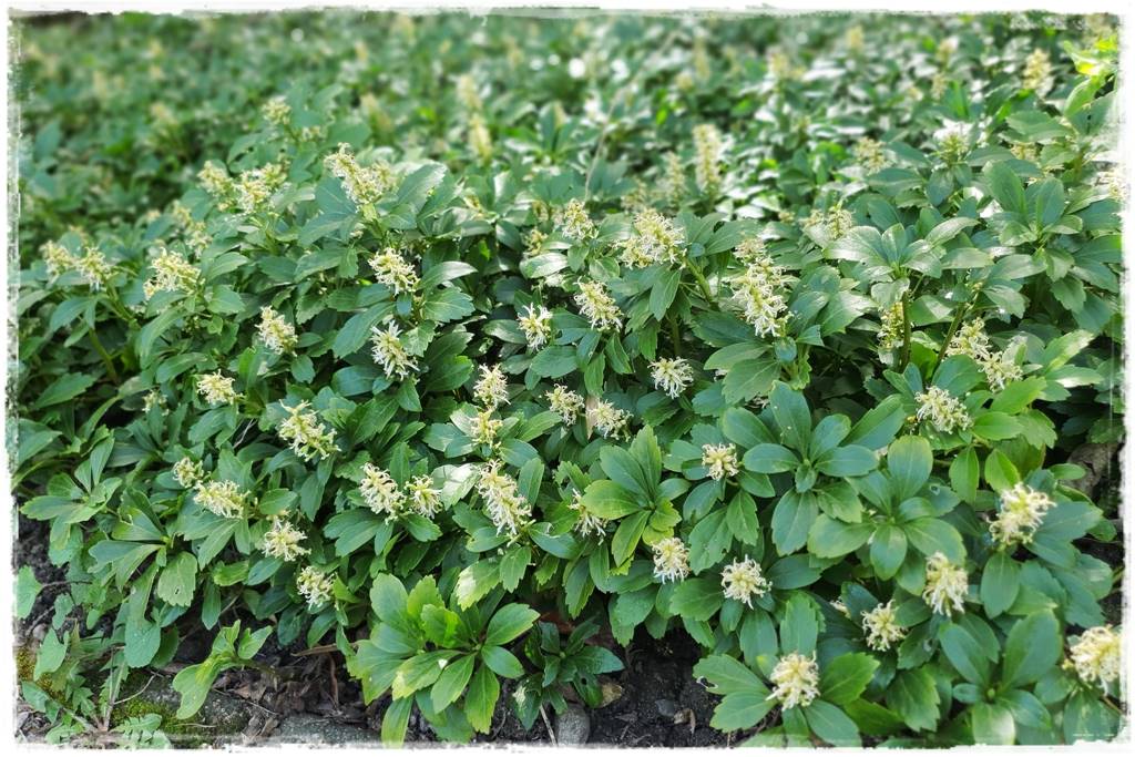 Fotowoltaika w ogrodzie 14 Fotowoltaika w ogrodzie 14