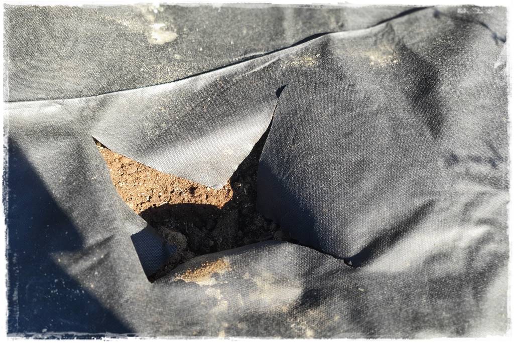 Fotowoltaika w ogrodzie 39 Fotowoltaika w ogrodzie 39