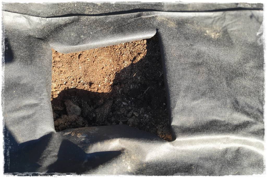 Fotowoltaika w ogrodzie 40 Fotowoltaika w ogrodzie 40