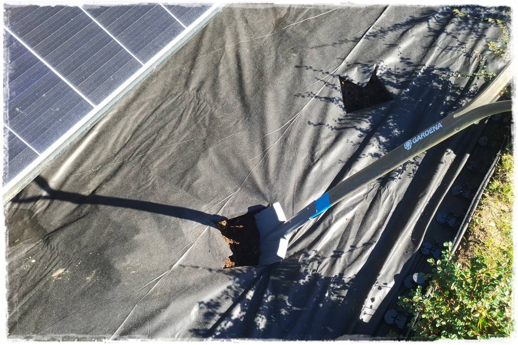 Fotowoltaika w ogrodzie 41 Fotowoltaika w ogrodzie 41