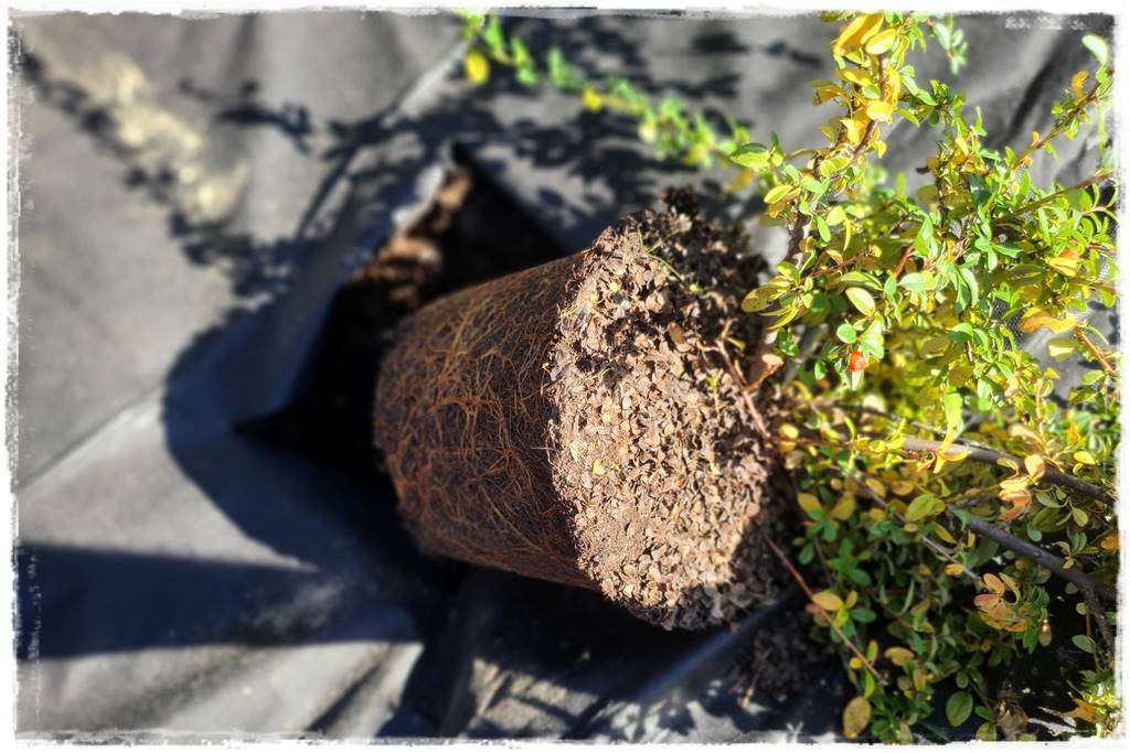 Fotowoltaika w ogrodzie 42 Fotowoltaika w ogrodzie 42